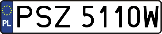 PSZ5110W