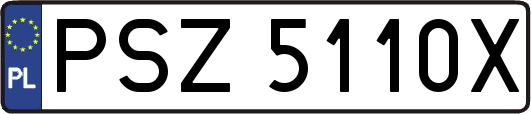 PSZ5110X