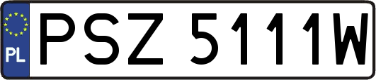 PSZ5111W