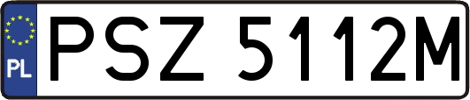 PSZ5112M