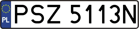 PSZ5113N