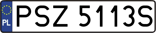 PSZ5113S