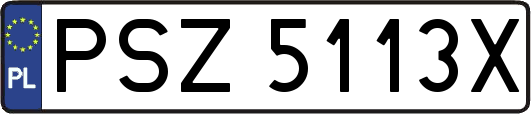 PSZ5113X