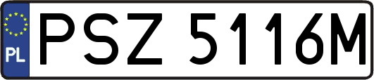 PSZ5116M