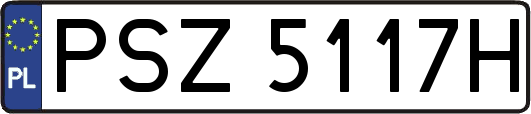 PSZ5117H