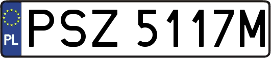 PSZ5117M