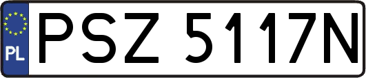 PSZ5117N