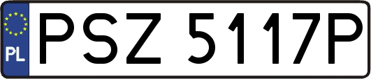 PSZ5117P