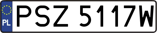 PSZ5117W