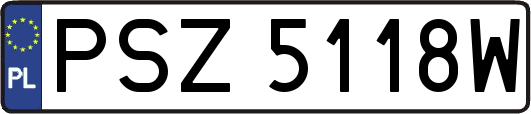 PSZ5118W