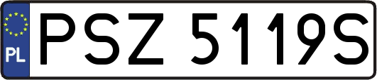PSZ5119S