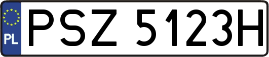 PSZ5123H