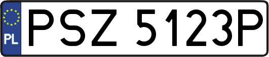 PSZ5123P