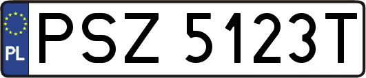 PSZ5123T