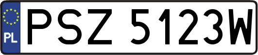 PSZ5123W