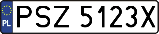 PSZ5123X