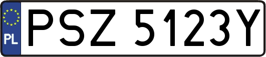 PSZ5123Y