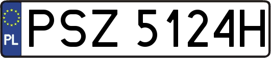 PSZ5124H