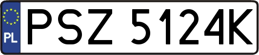 PSZ5124K