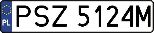 PSZ5124M