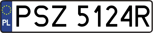 PSZ5124R