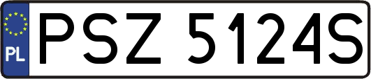 PSZ5124S