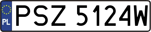 PSZ5124W
