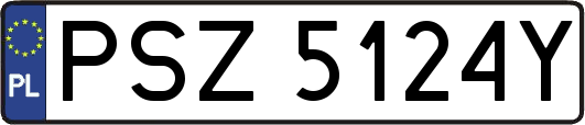 PSZ5124Y