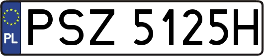 PSZ5125H