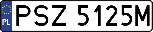 PSZ5125M