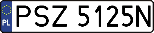 PSZ5125N