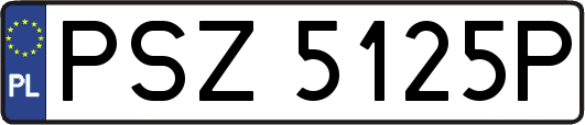 PSZ5125P