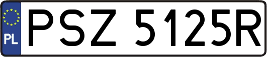 PSZ5125R