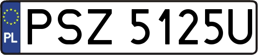 PSZ5125U