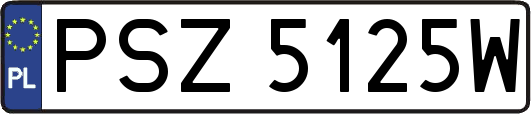 PSZ5125W
