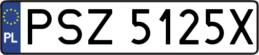 PSZ5125X