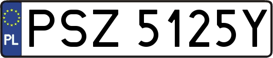 PSZ5125Y