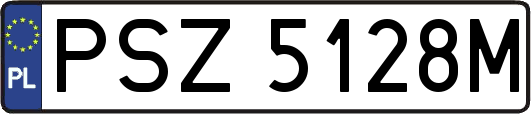 PSZ5128M