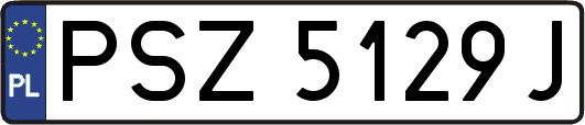 PSZ5129J