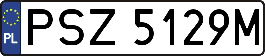 PSZ5129M