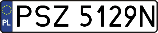 PSZ5129N