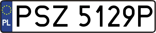 PSZ5129P