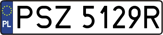 PSZ5129R