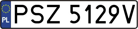 PSZ5129V