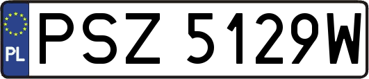 PSZ5129W
