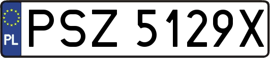 PSZ5129X
