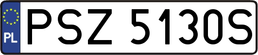 PSZ5130S