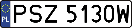 PSZ5130W