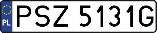 PSZ5131G