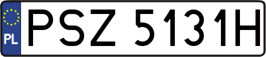 PSZ5131H